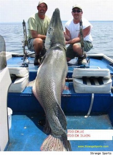 Fisherman’s Dream (31 pics) Fisherman’s Dream (31 pics)