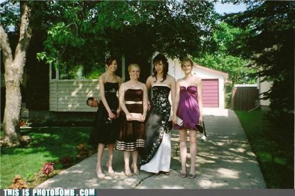 How to Spoil a Photo. Part 7 (48 pics)