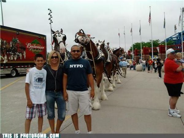 How to Spoil a Photo. Part 7 (48 pics)