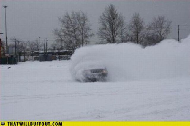 Cars in Hilarious and Weird Situations (83 pics)