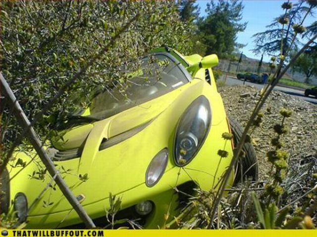 Cars in Hilarious and Weird Situations (83 pics)