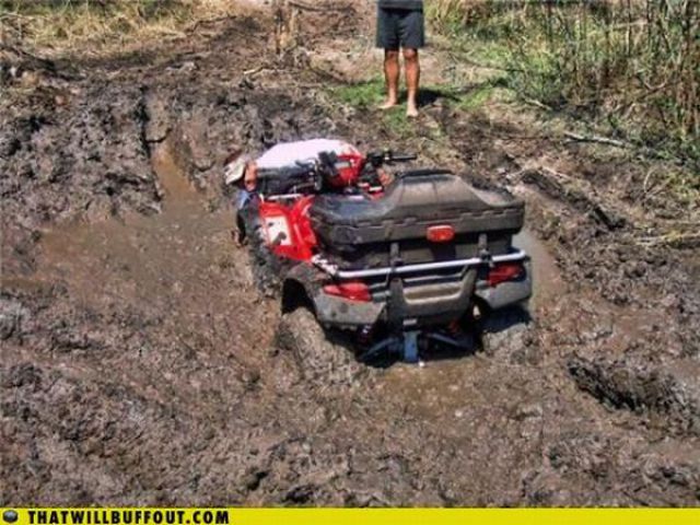 Cars in Hilarious and Weird Situations (83 pics)