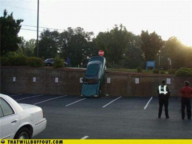 Cars in Hilarious and Weird Situations (83 pics)
