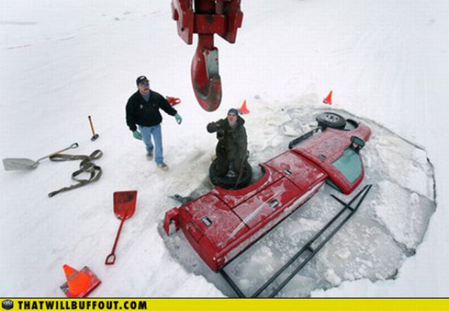 Cars in Hilarious and Weird Situations (83 pics)