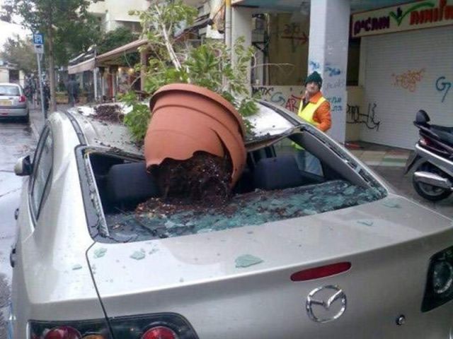 Cars in Hilarious and Weird Situations (83 pics)