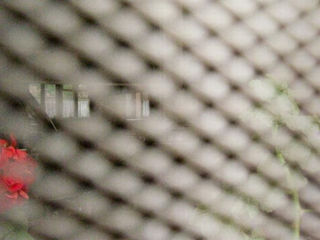 When Female Inmates Take Photos of Their Life in Prison (65 pics)