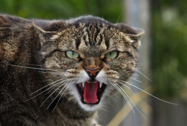 Daily picdump (124 pics)