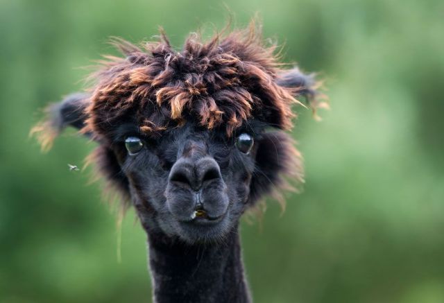 Daily picdump (124 pics)