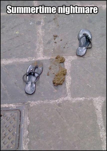 Daily picdump (124 pics)