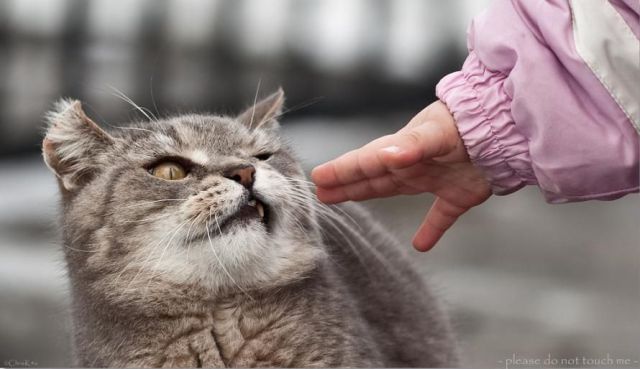 Daily picdump (124 pics)