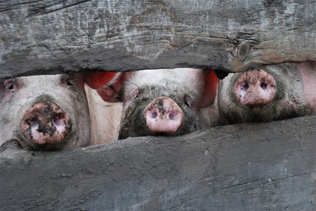 Daily picdump (124 pics)