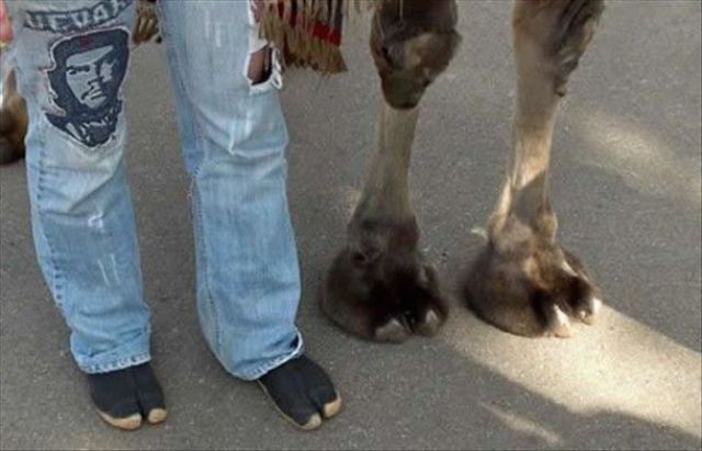 Daily picdump (124 pics)