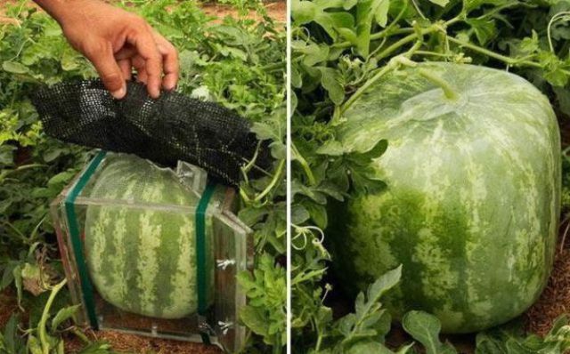 Daily picdump (124 pics)