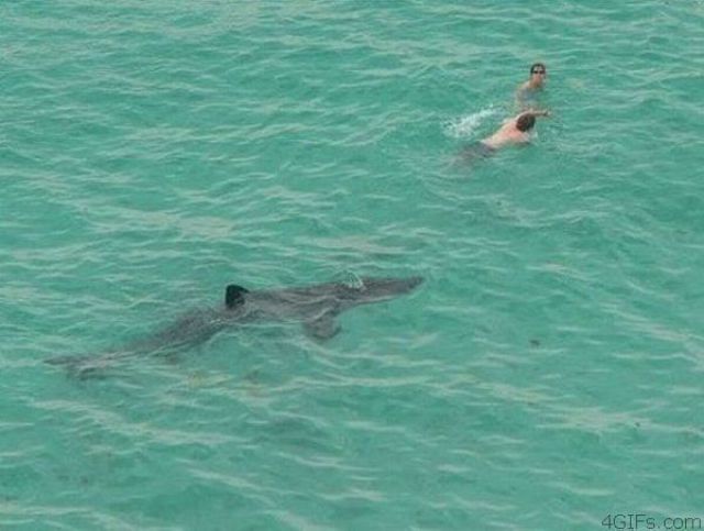 Daily picdump (124 pics)