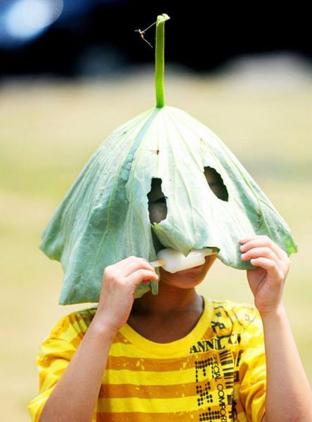 Daily picdump (124 pics)