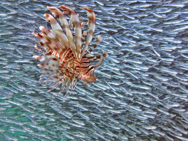 Daily picdump (124 pics)