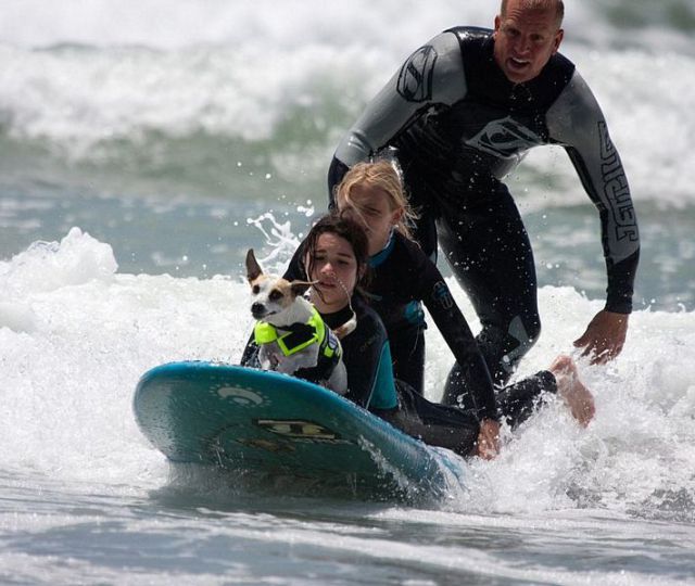 Daily picdump (146 pics)