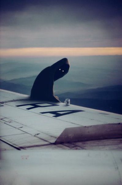 Daily picdump (146 pics)