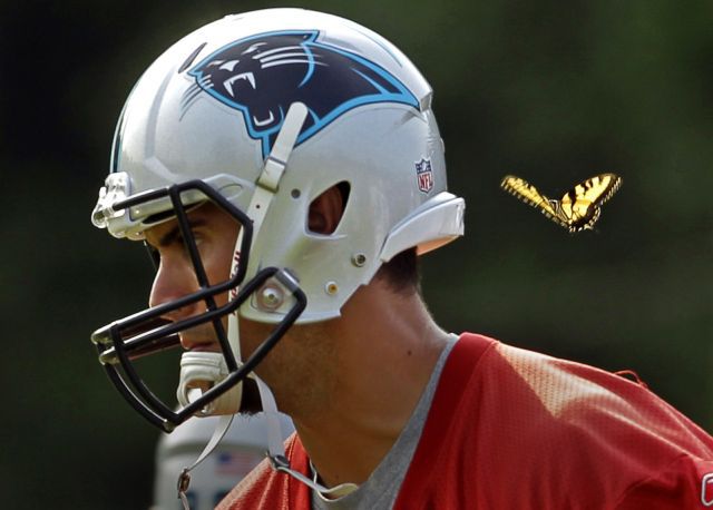 Daily picdump (146 pics)