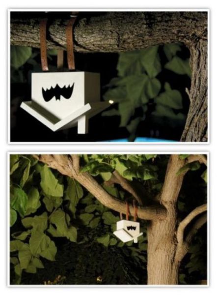 Daily picdump (158 pics)