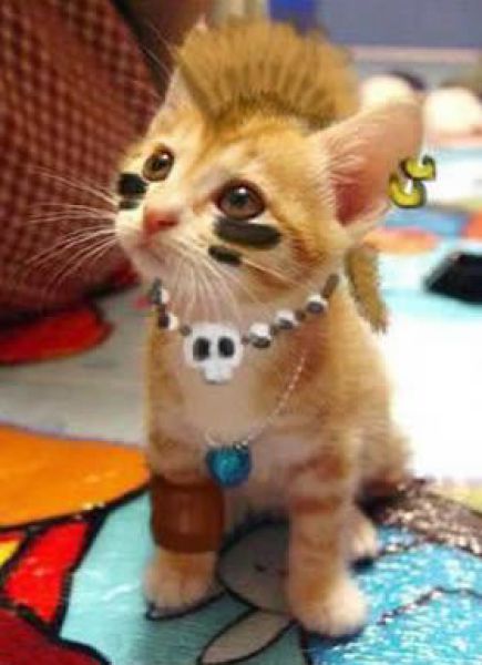 Daily picdump (158 pics)