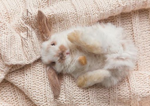 Daily picdump (158 pics)