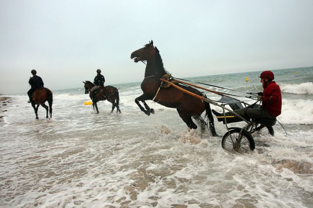 Daily picdump (158 pics)