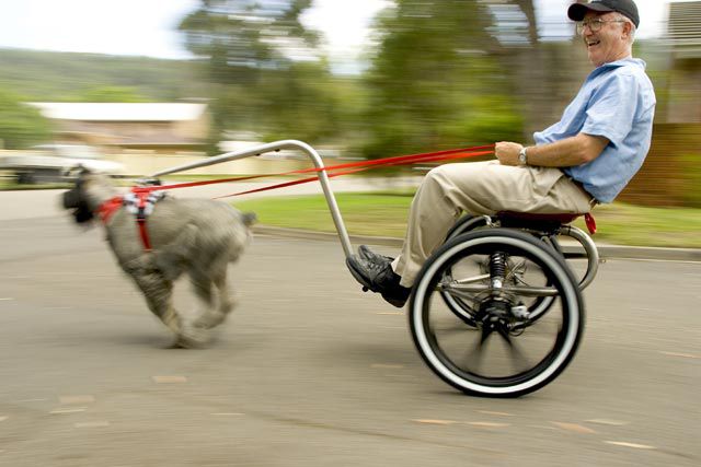 Daily picdump (158 pics)