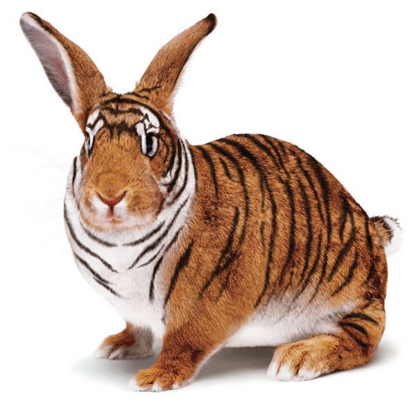 Daily picdump (111 pics)