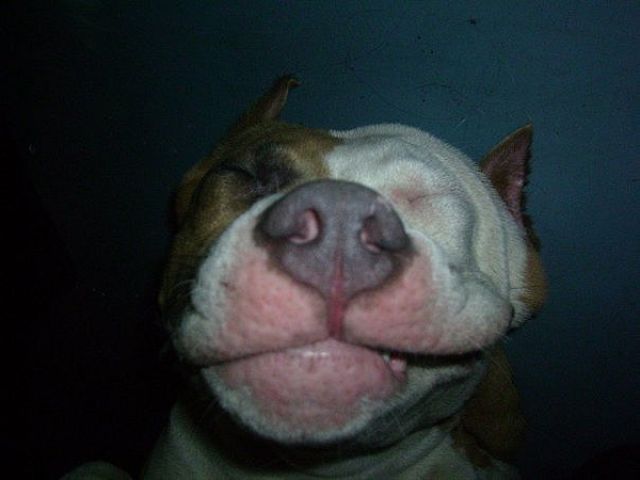 Daily picdump (111 pics)