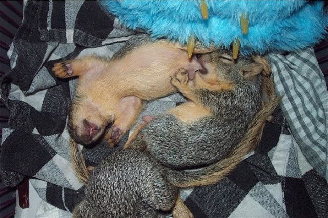 Daily picdump (111 pics)