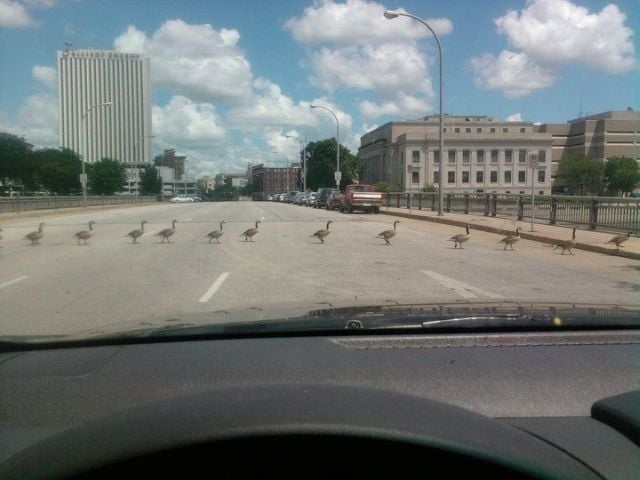 Daily picdump (111 pics)