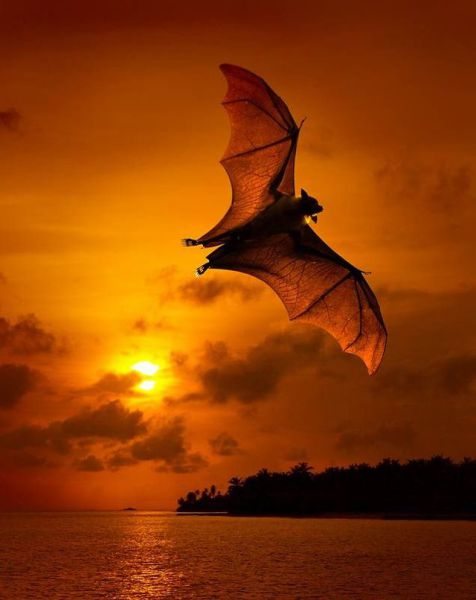 Daily picdump (111 pics)