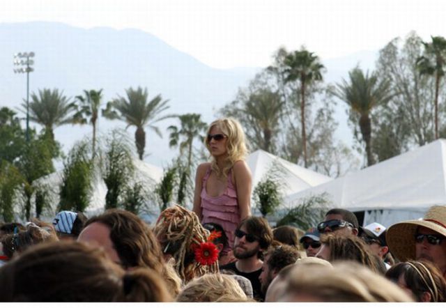 Summer Girls (79 pics)