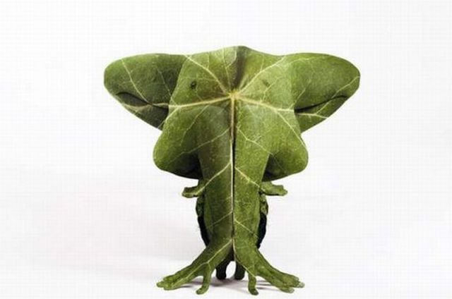 Daily picdump (115 pics)