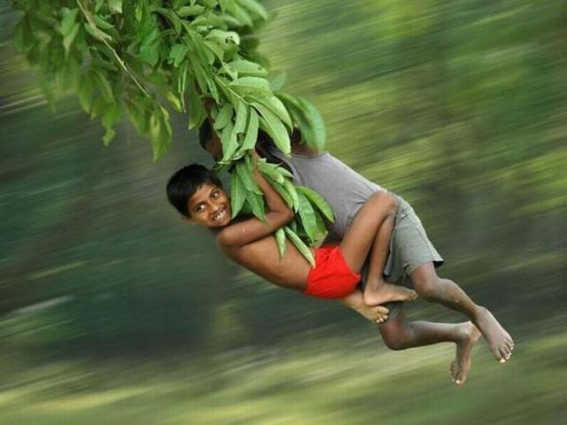 Daily picdump (115 pics)