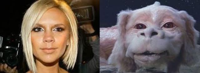 Daily picdump (115 pics)