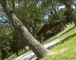 Funny Gif Collection (33 gifs)