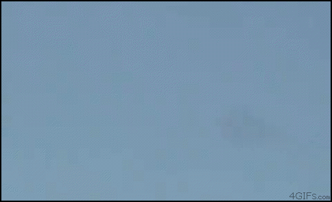 Funny Gif Collection (33 gifs)