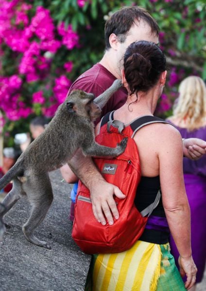 Daily picdump (133 pics)