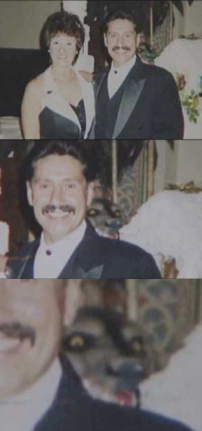 Daily picdump (133 pics)