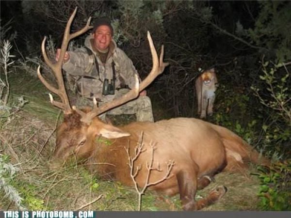 how to spoil a photo part 9 67 pics 7.html - 67 HD Photos | Premium Gallery 2010