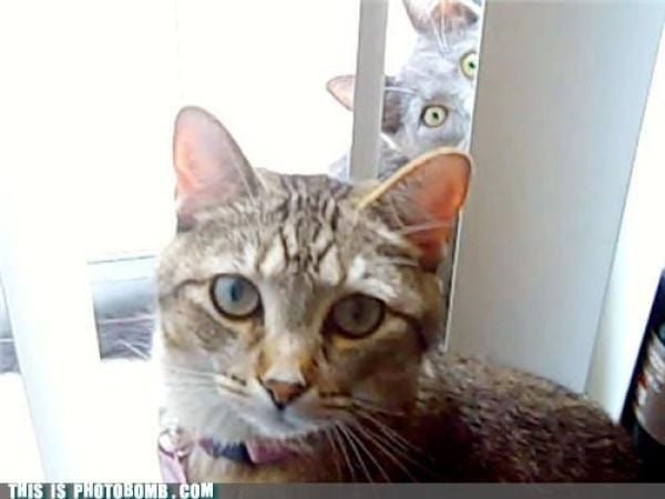 how to spoil a photo part 9 67 pics 7.html - 67 HD Photos | Premium Gallery 2010