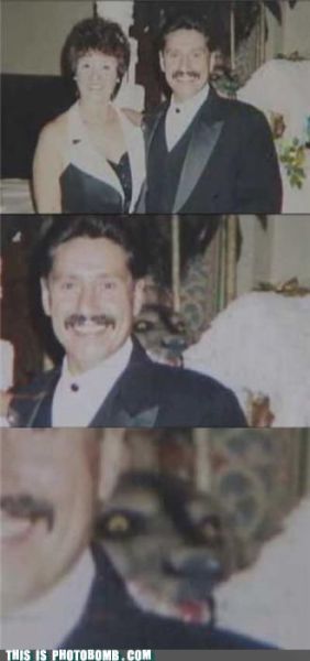 how to spoil a photo part 9 67 pics 7.html - 67 HD Photos | Premium Gallery 2010