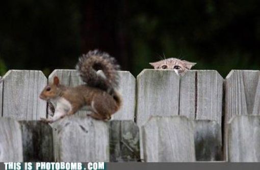 how to spoil a photo part 9 67 pics 7.html - 67 HD Photos | Premium Gallery 2010