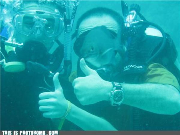 how to spoil a photo part 9 67 pics 7.html - 67 HD Photos | Premium Gallery 2010