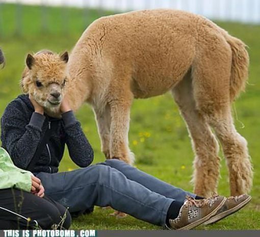 how to spoil a photo part 9 67 pics 7.html - 67 HD Photos | Premium Gallery 2010