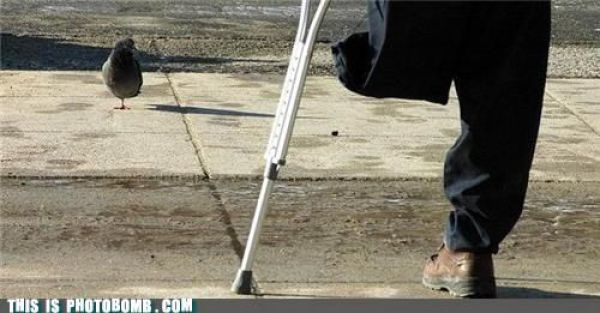 how to spoil a photo part 9 67 pics 7.html - 67 HD Photos | Premium Gallery 2010