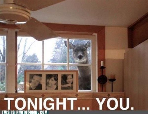 how to spoil a photo part 9 67 pics 7.html - 67 HD Photos | Premium Gallery 2010