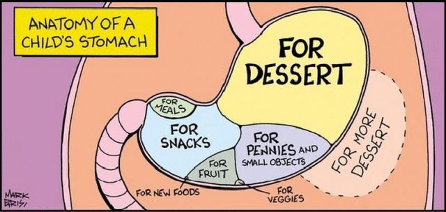 New Funny Collection of Cartoons